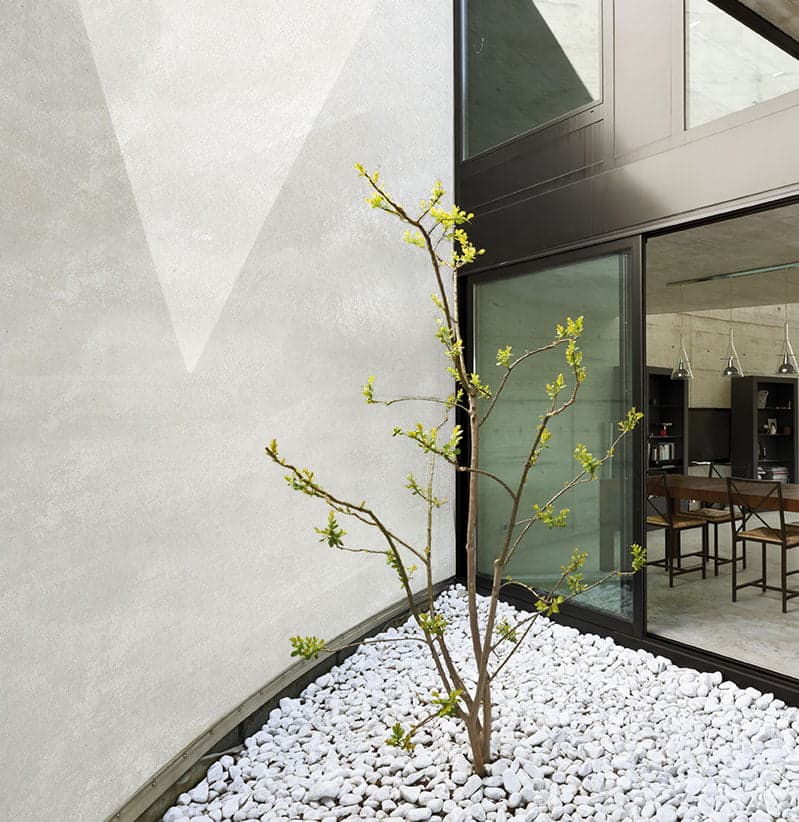 Animamundi per Esterni - Image 2